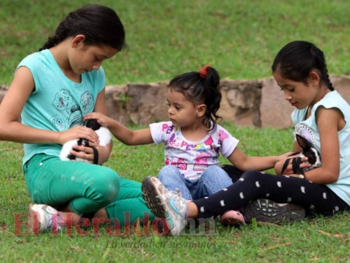 La nobleza de los animales al servicio de la salud de los hondureños