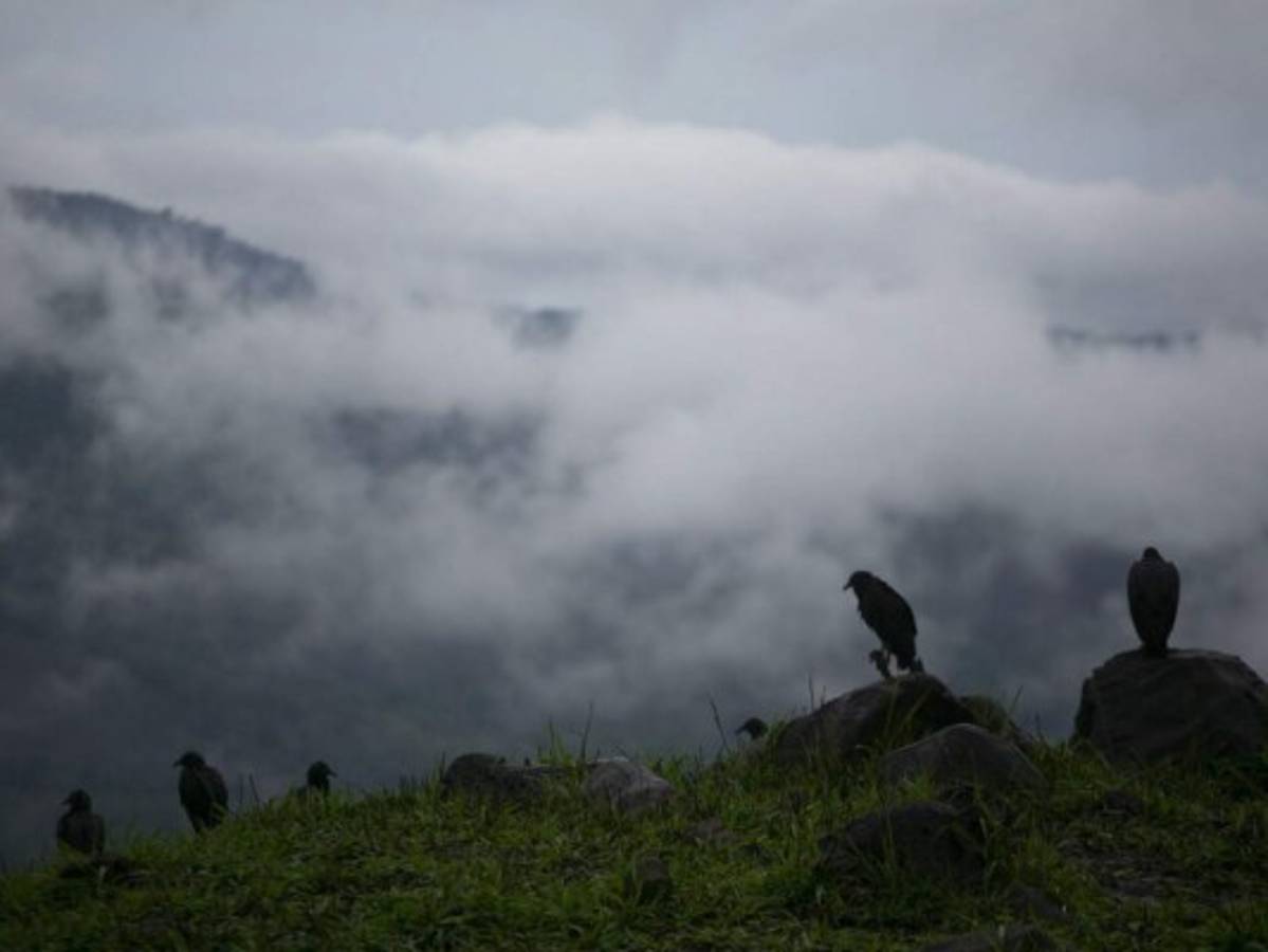 Cristóbal se fortalece a tormenta tropical rumbo a EEUU