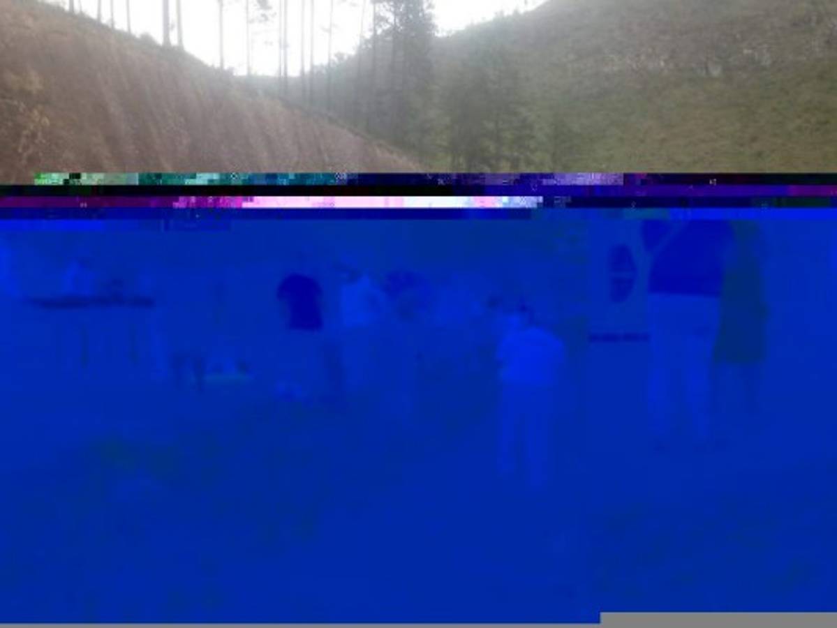 El incidente dejó ocho personas heridas, entre ellas cuatro niños y cuatro adultos.