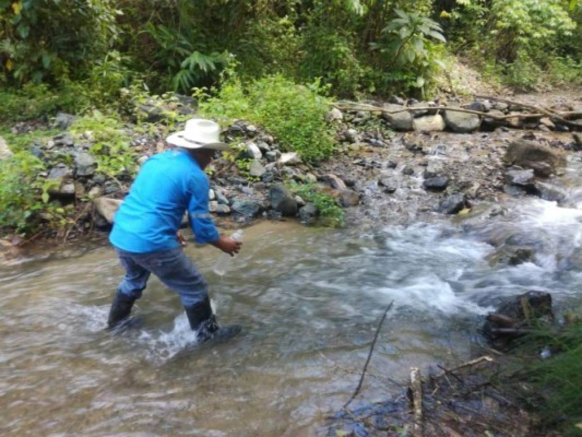 ¡Riesgo! Detectan heces fecales en 10 acueductos de Comayagua