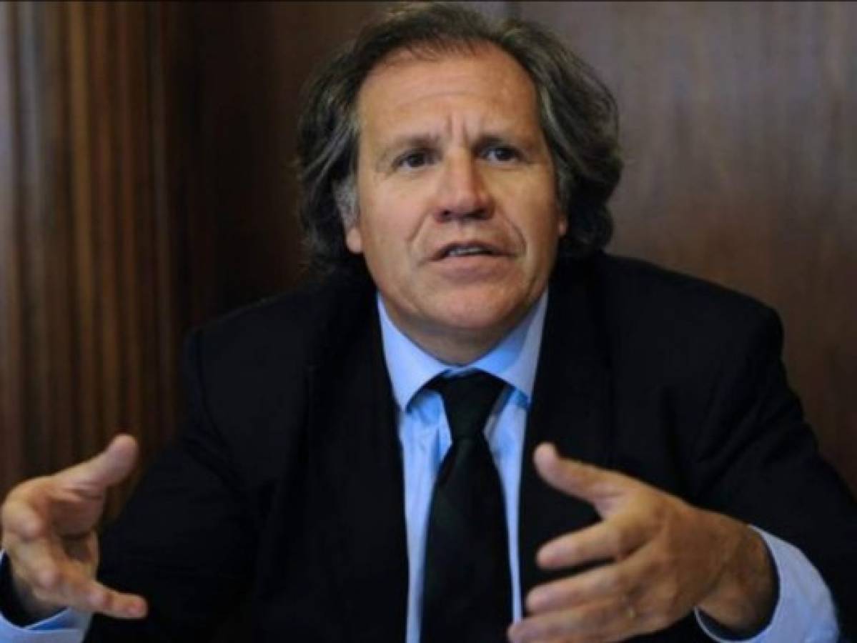 Secretario general de la OEA Luis Almagro condena 'agresión' contra fiscal venezolana