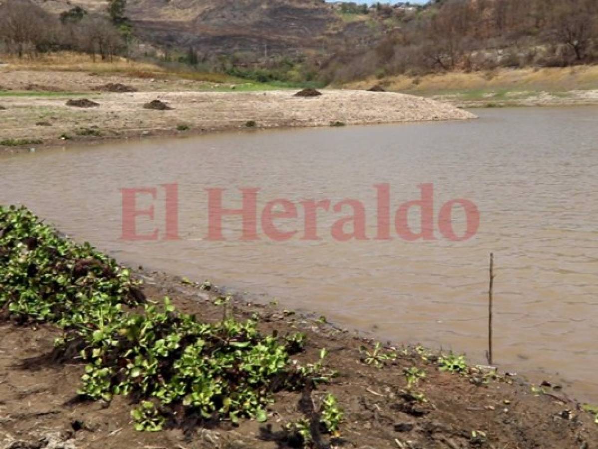 Primer filtro: los guardianes que 'limpian' y protegen el agua de los capitalinos en la represa Los Laureles