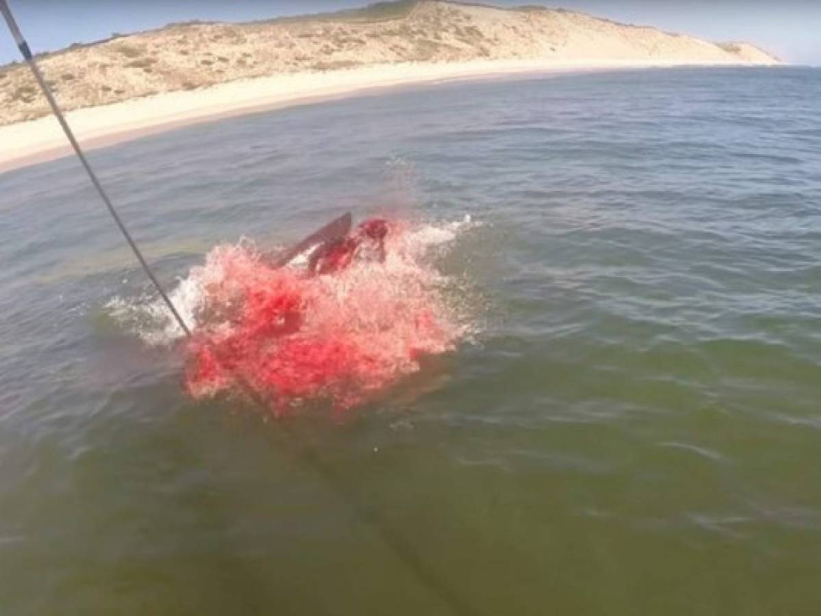 Vídeo capta momento en que un tiburón ataca a una foca en Estados Unidos
