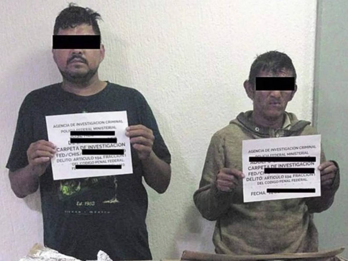 Caen en Chiapas dos transportistas hondureños con 130 kilos de marihuana ocultos en cajas de huevos