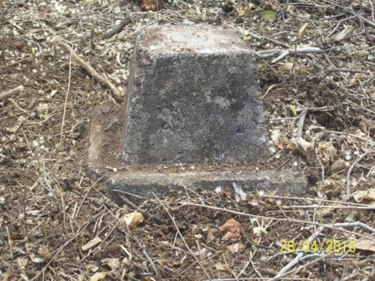 Concluye dilatada demarcación territorial entre Honduras y El Salvador