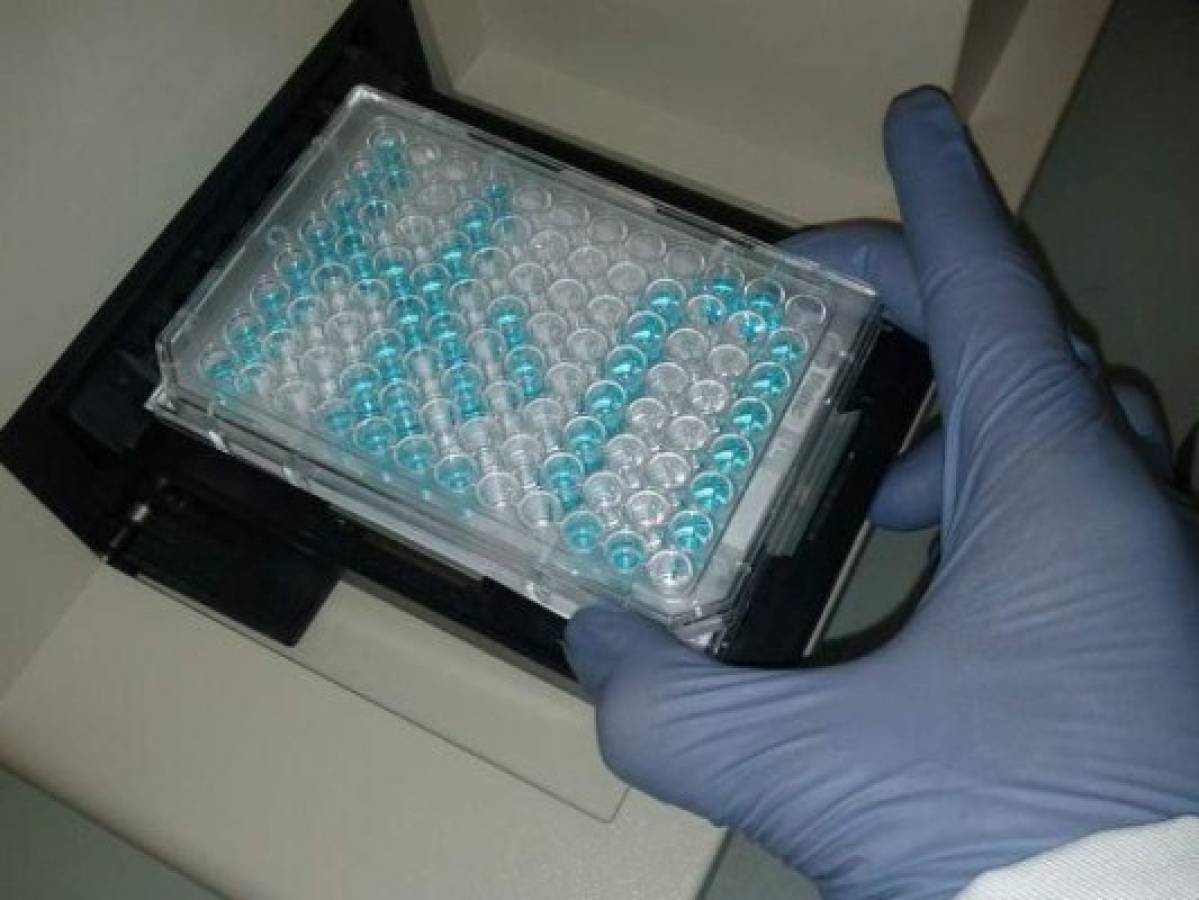 Brasil es el tercer país del mundo en autorizar el uso de la vacuna contra el dengue  