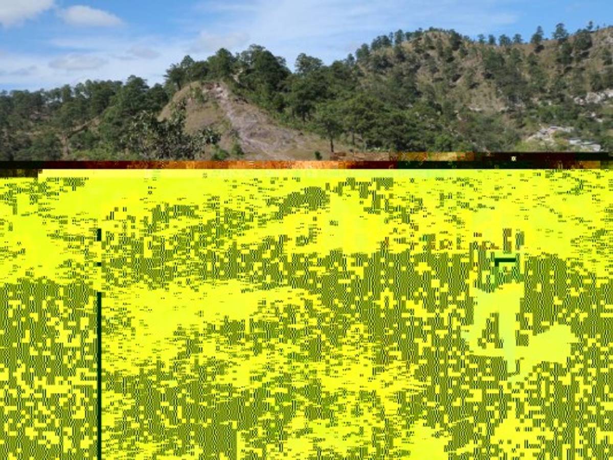 El camino estaba señalizado con unas pequeñas flechas naranjas.