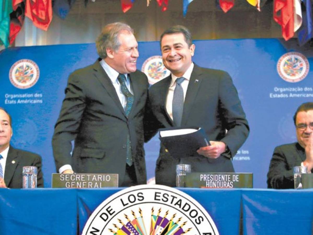 Ellos son los elegidos para iniciar la Maccih