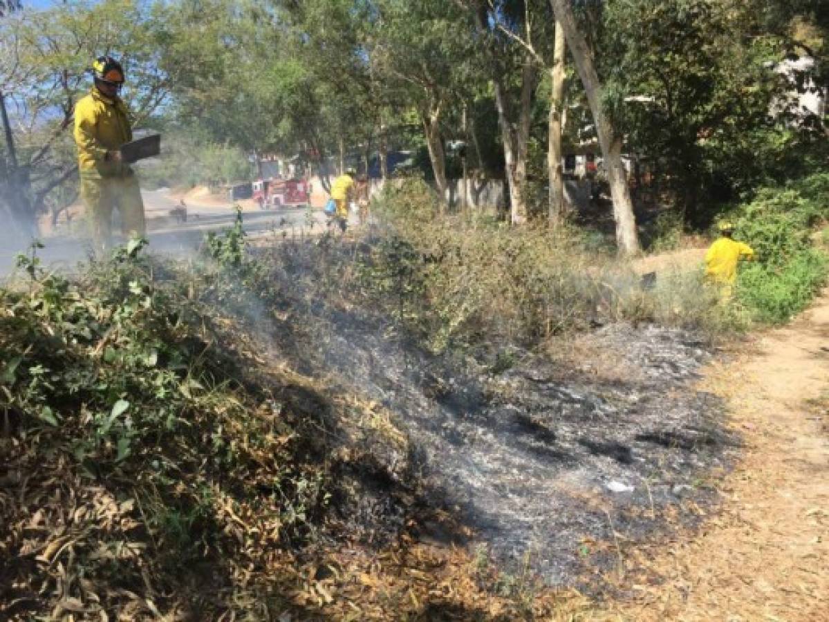 200 personas harán frente a las quemas en el Distrito Central