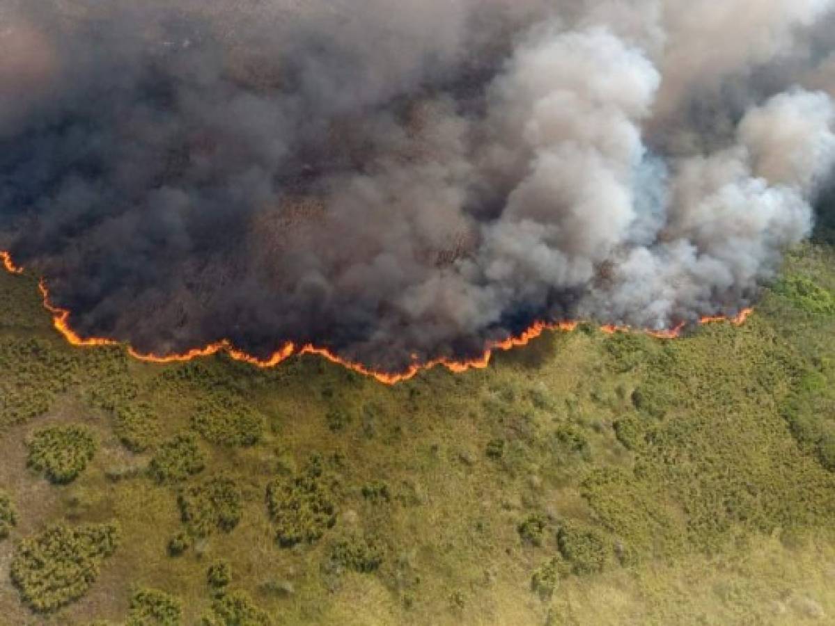 Se incendian 2,500 hectáreas de reserva natural en México  