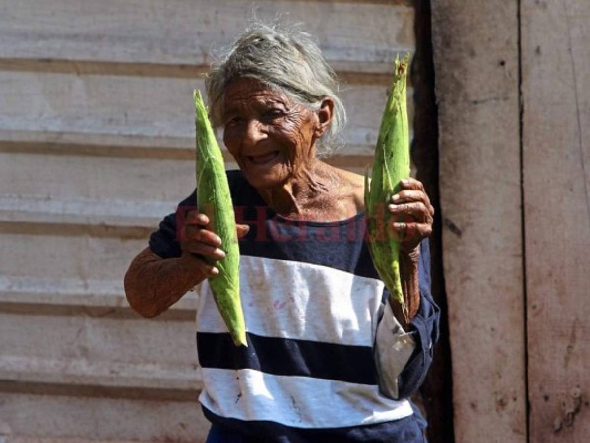 A puro maíz huele la ruta a Valle de Ángeles
