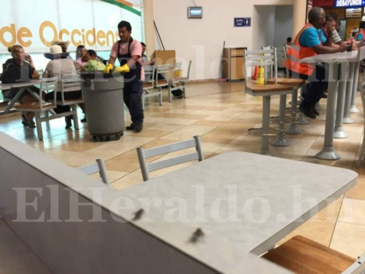 Honduras: Invasión de moscas en aeropuerto Ramón Villeda Morales de San Pedro Sula