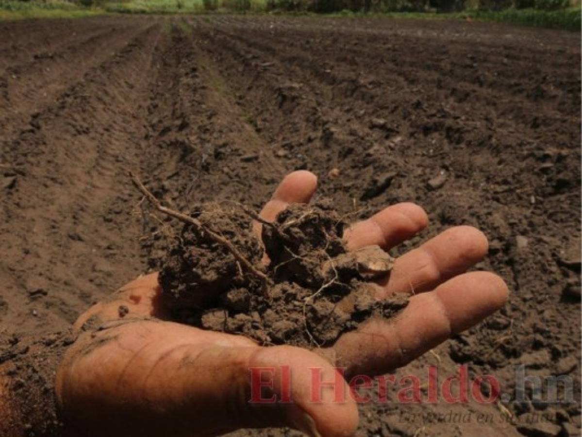 Muchos agricultores están esperando que hagan funcionar los reservorios.