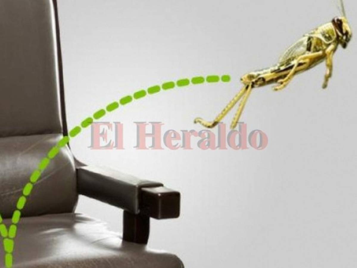 El artículo de Octavio Carvajal: Brincando quedarán