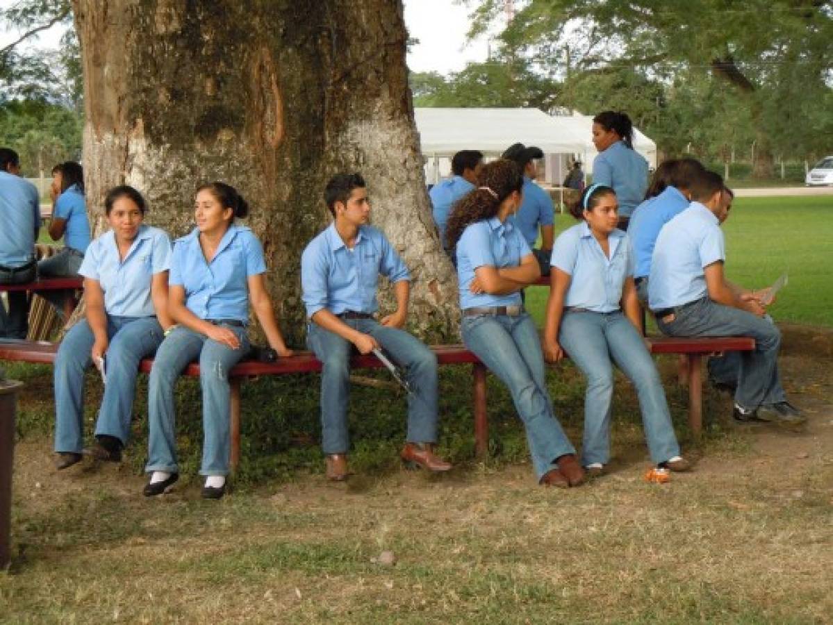 Honduras: El llamado a clases agudiza la crisis en la UNA