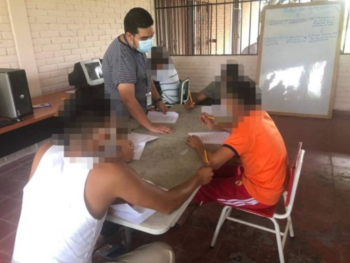 El plan de formación incluye talleres sobre la elaboración de perfiles de ingreso y egreso, metodología de aprendizaje y estrategias de evaluación.