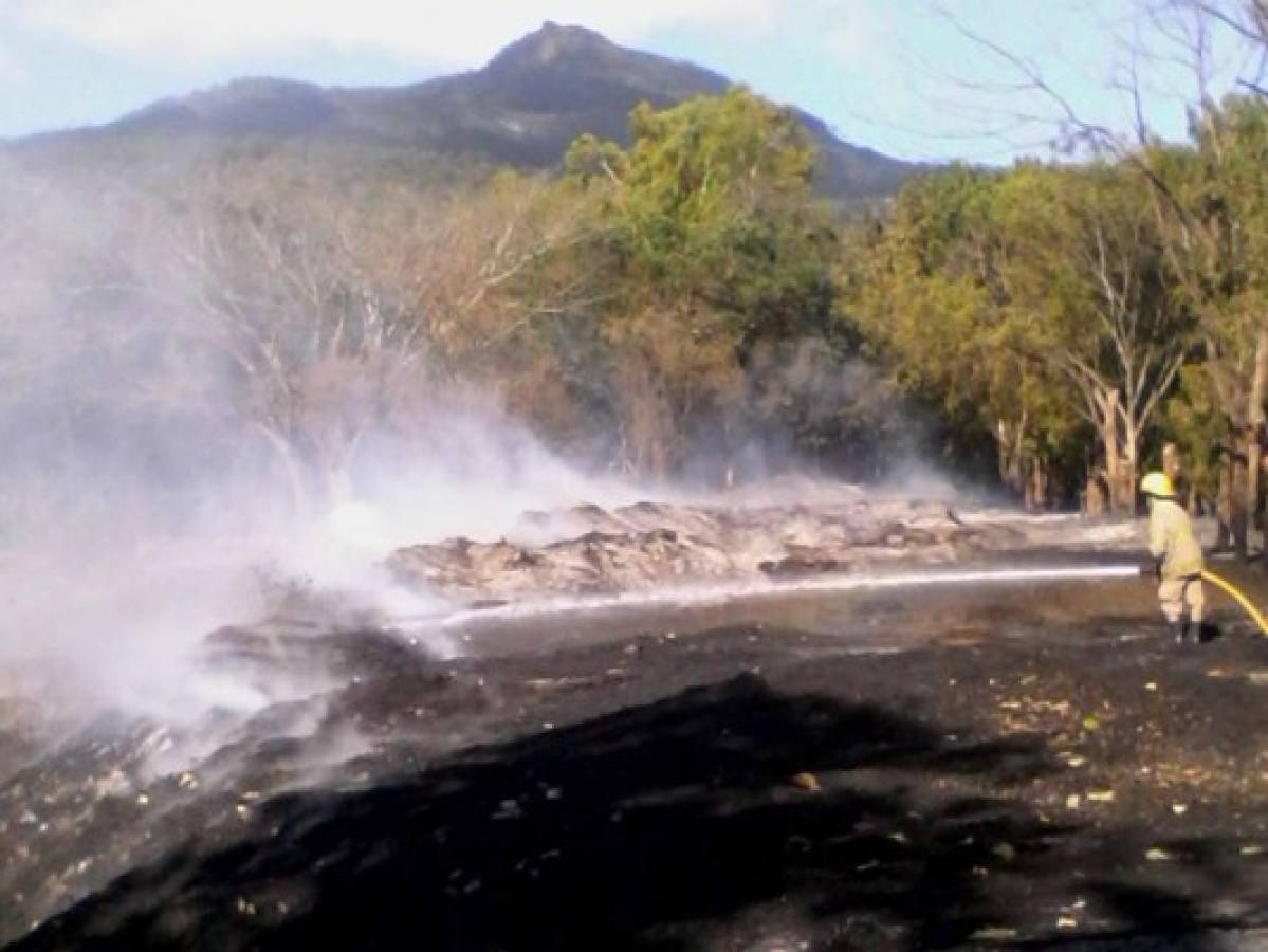 Dos incendios forestales consumen zona boscosa de Uyuca y La Trinidad