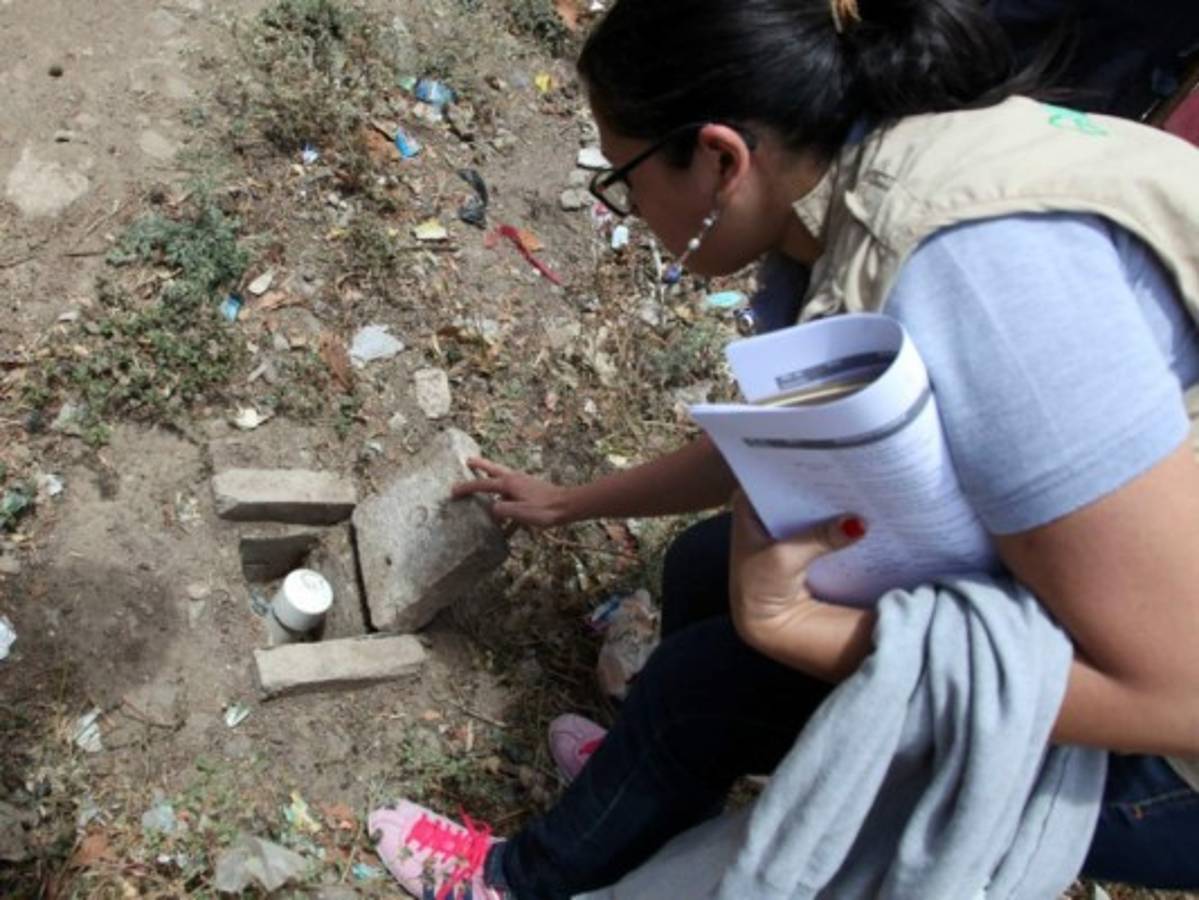 Buscan crear estrategias regionales de prevención