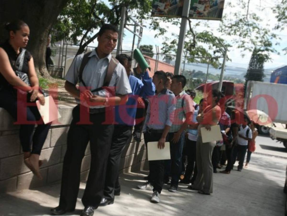 El trabajo será un derecho fundamental para los hondureños, asegura Vamos