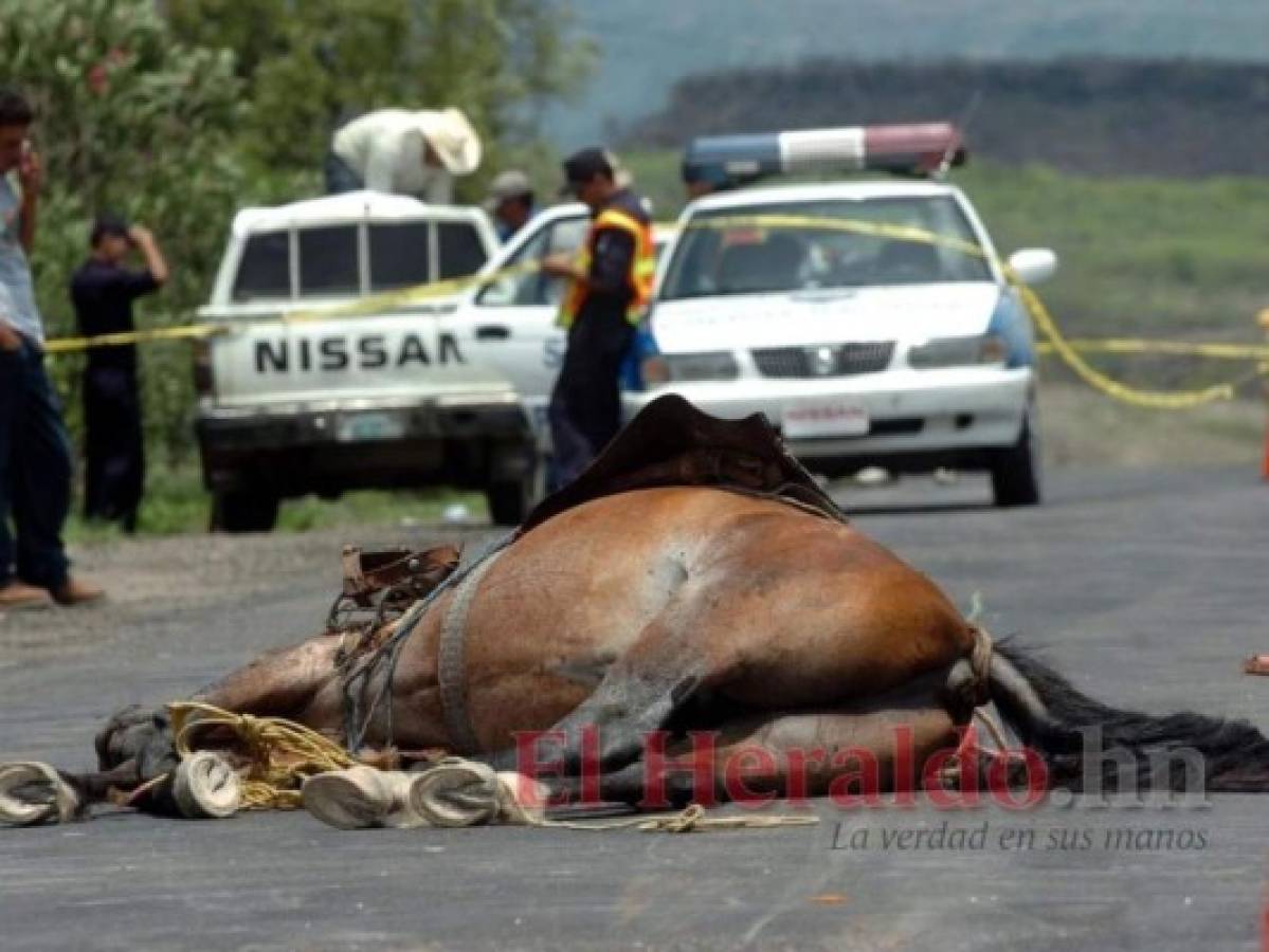 Motociclista muere al impactar contra un caballo en Olancho