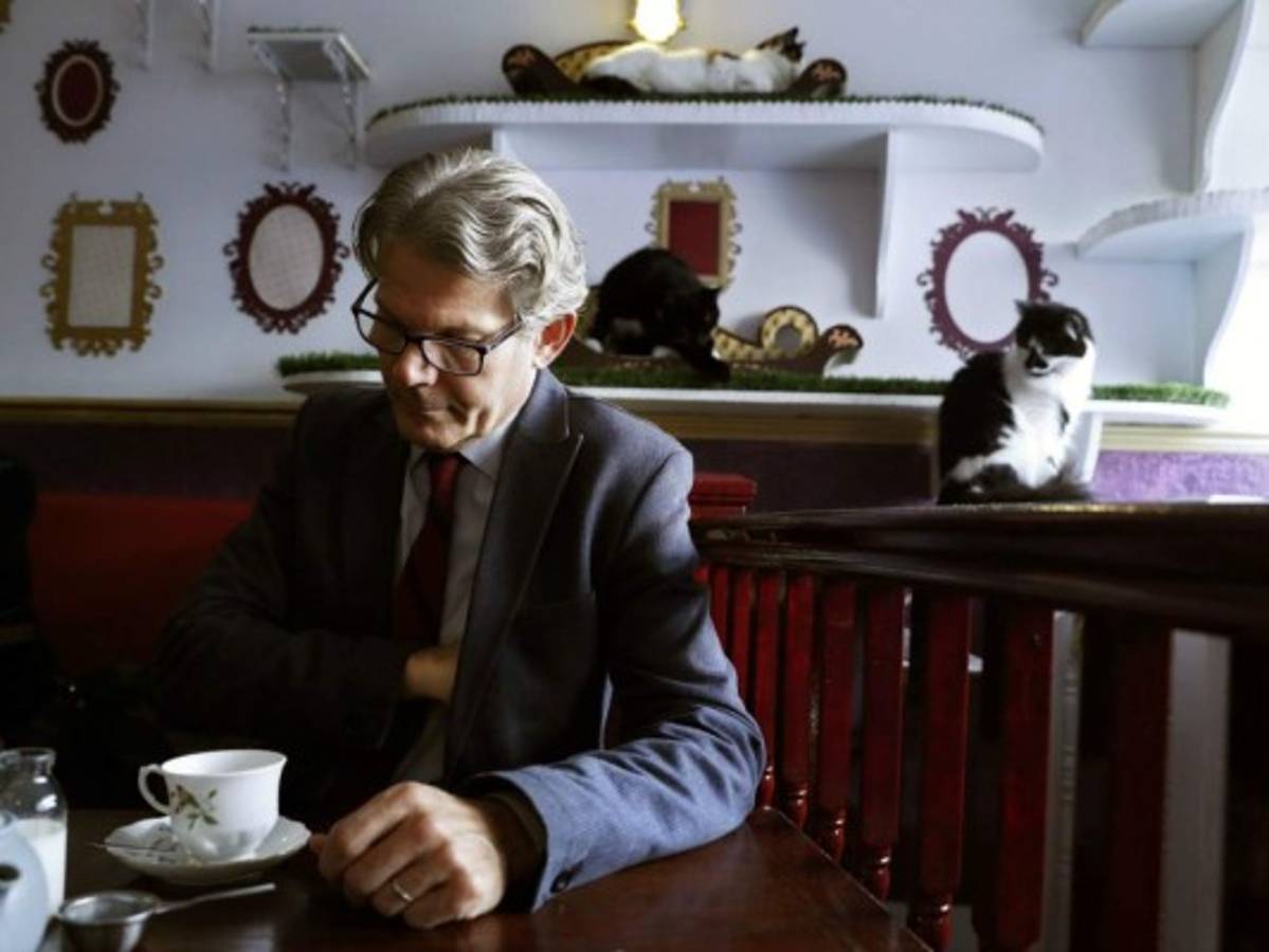 Un disco de música clásica para un público especial: los gatos