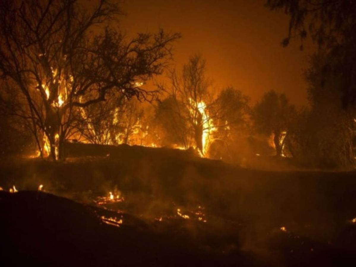 Chipre: cuatro muertos deja como saldo un 'destructivo' incendio forestal