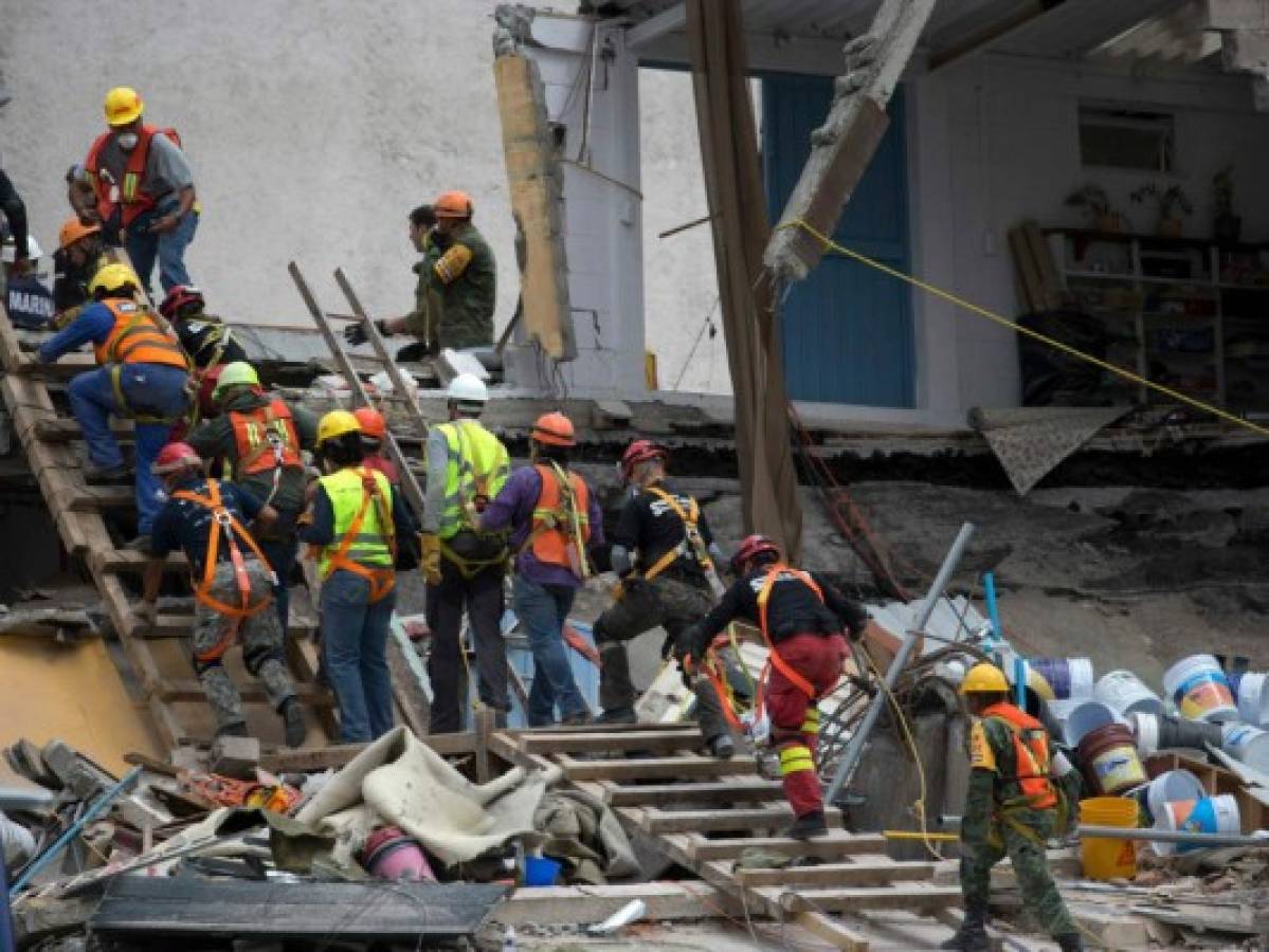 Rescatan con vida a un perro a 5 días de devastador terremoto en México