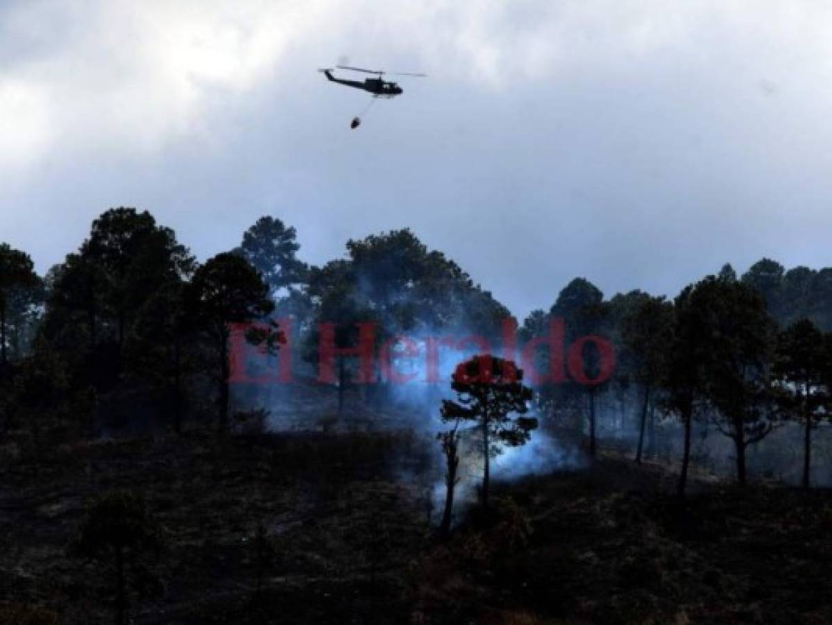 Fuego consume unas 25 hectáreas en El Chimbo en la capital de Honduras