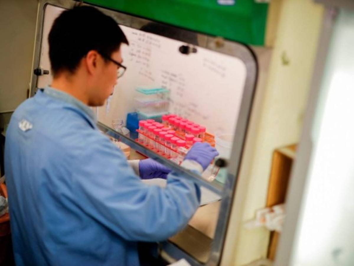 Coronavirus: a contrarreloj se hace la búsqueda de la vacuna