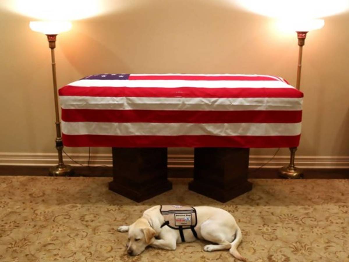 Sully, el perro fiel que se negó a alejarse del ataúd de George H.W. Bush