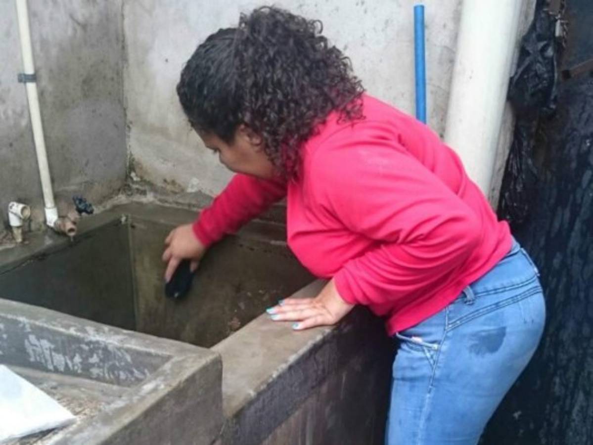 12 de cada 100 casas de la capital tienen presencia del Aedes aegypti