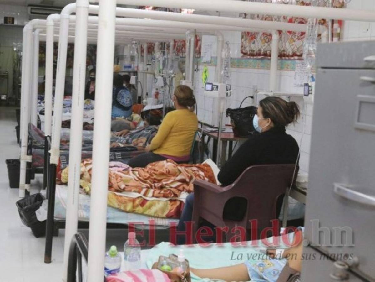 'En 2022 se espera otro brote de dengue', asegura el epidemiólogo Manuel Sierra