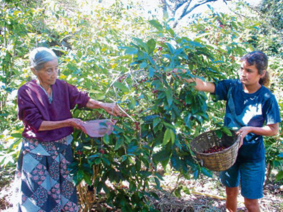 San Marcos de Colón, un oasis al sur de Honduras