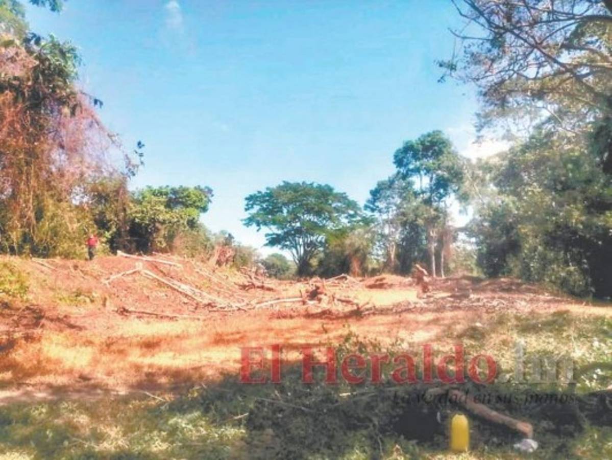 Piden al Estado dar seguridad jurídica para frenar la crisis por las invasiones