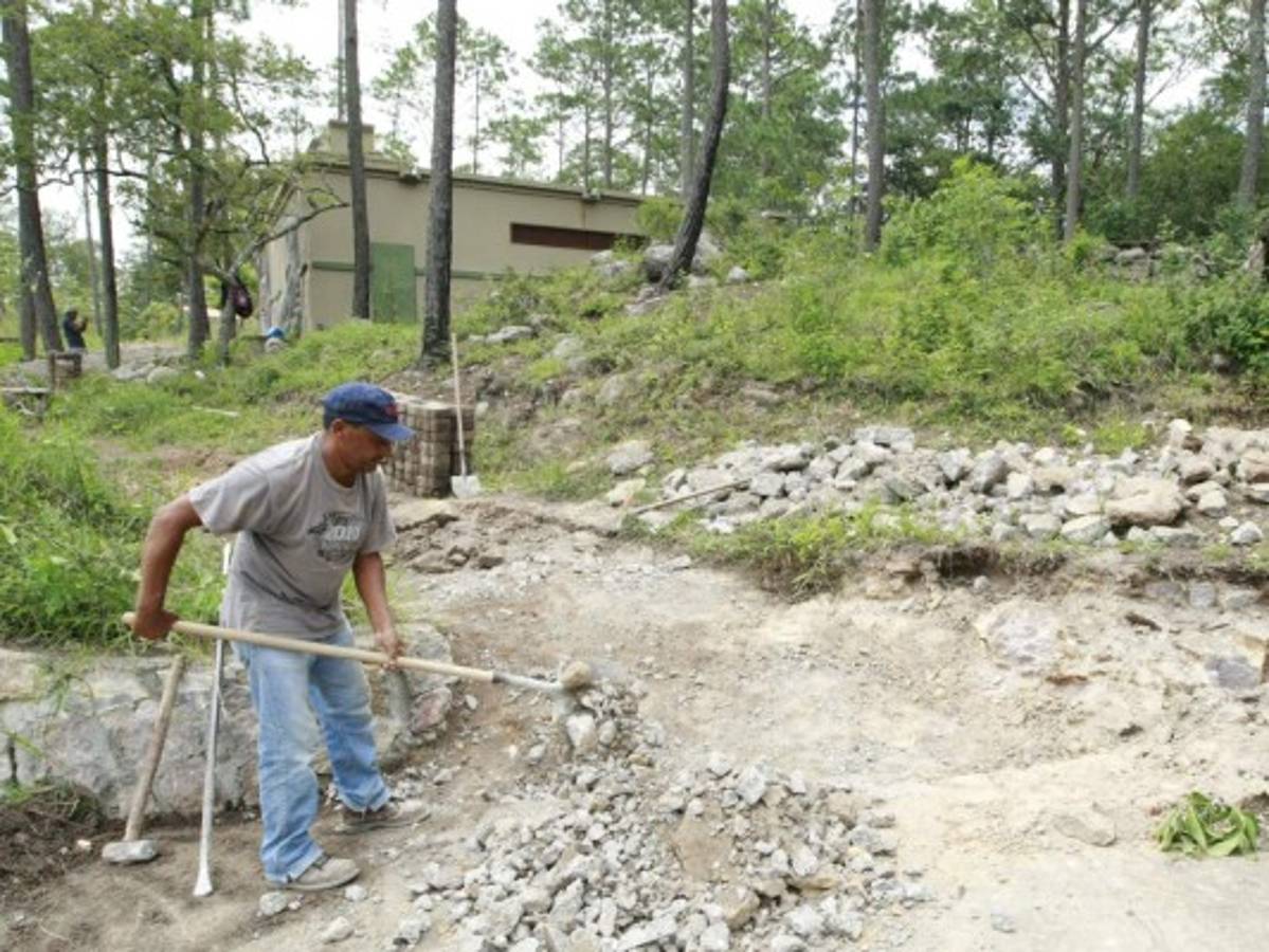 Por concluirse el nuevo recinto para las serpientes del Rosy Walther