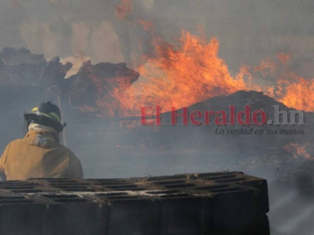 Francisco Morazán y Lempira, los más amenazados por incendios forestales