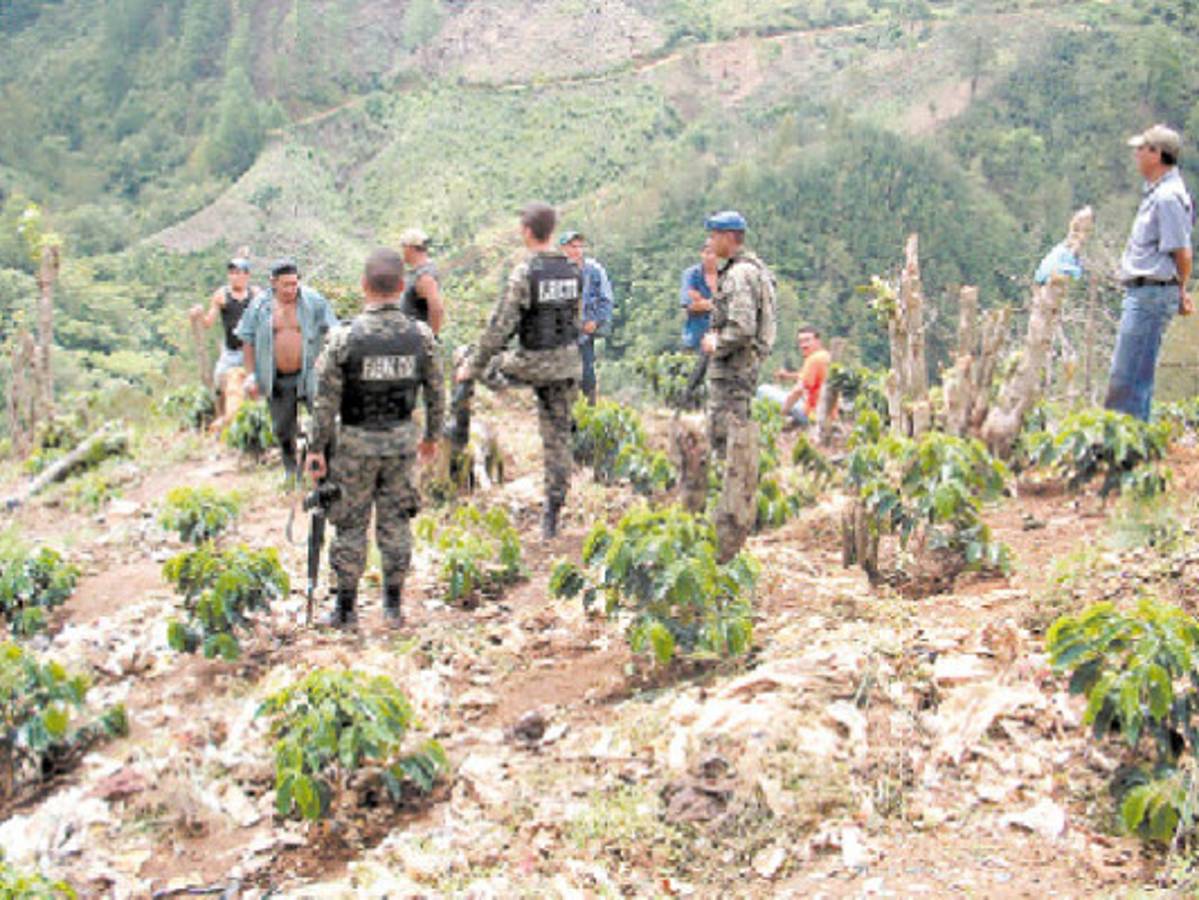 Identifican crimen ecológico en montaña de Comayagua