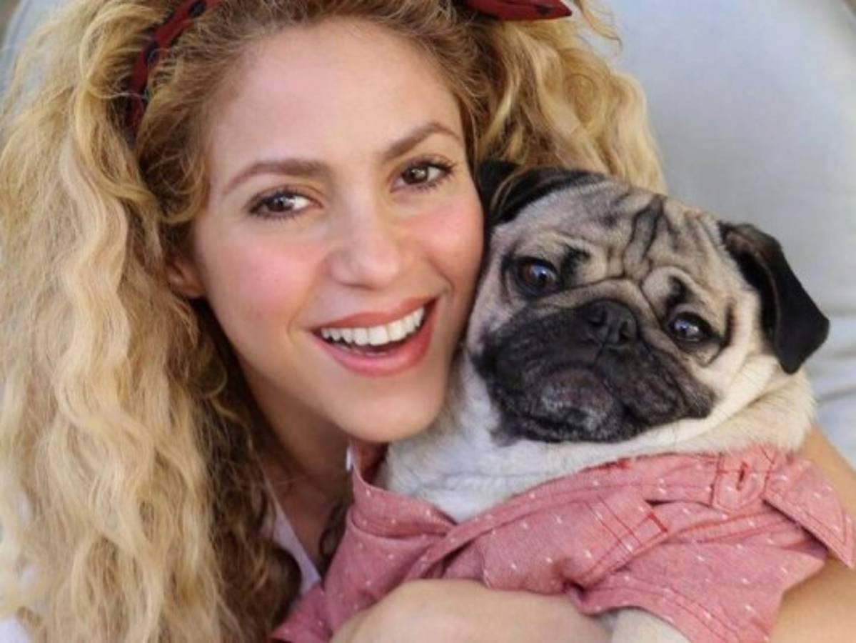 Así suena la voz de Shakira luego de sus problemas en las cuerdas vocales