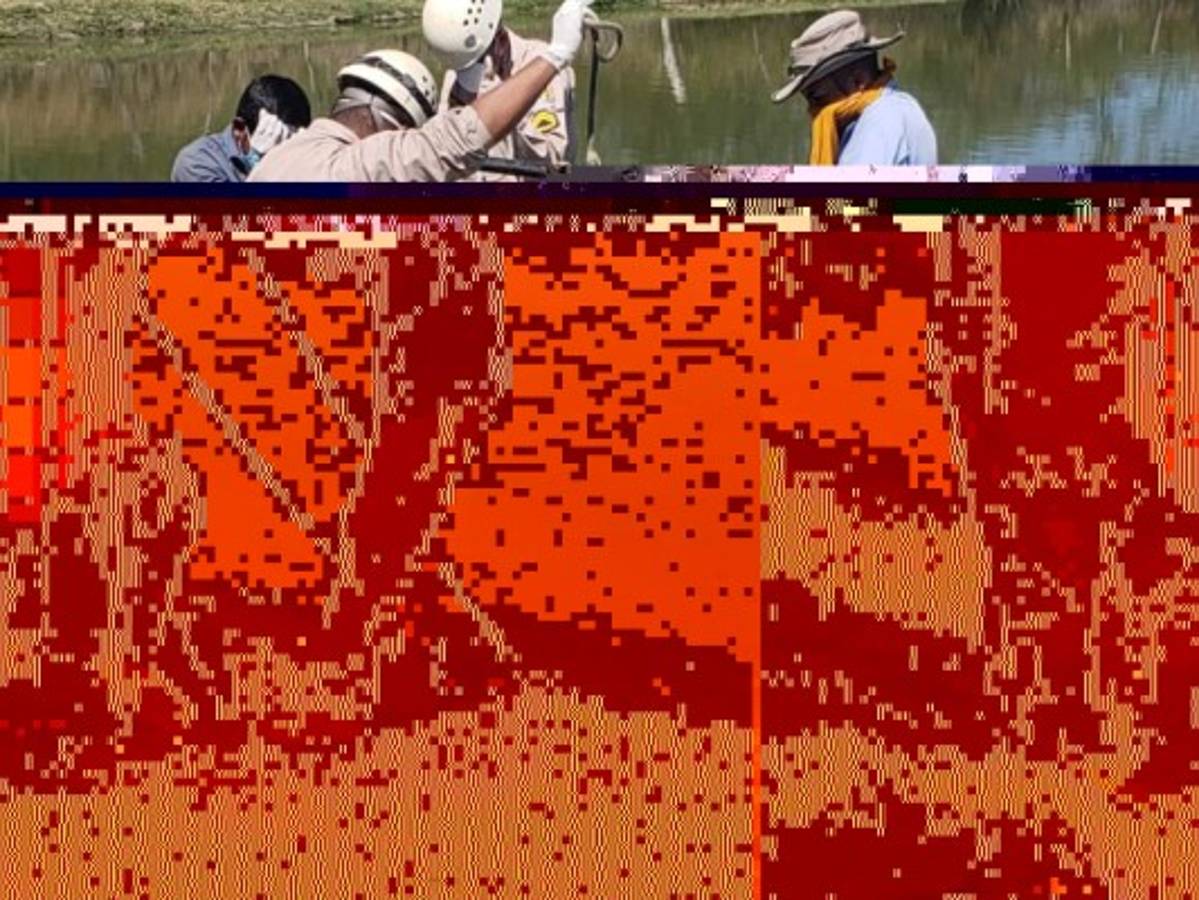 Miembros del cuerpo de Bomberos de Talanga realizaron la recuperación del cuerpo con el uso de cuerdas.