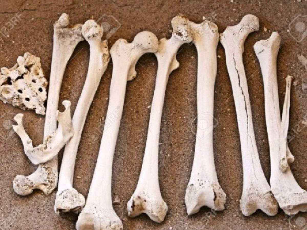 Encuentran huesos humanos en el estadio de Central Córdoba en Argentina