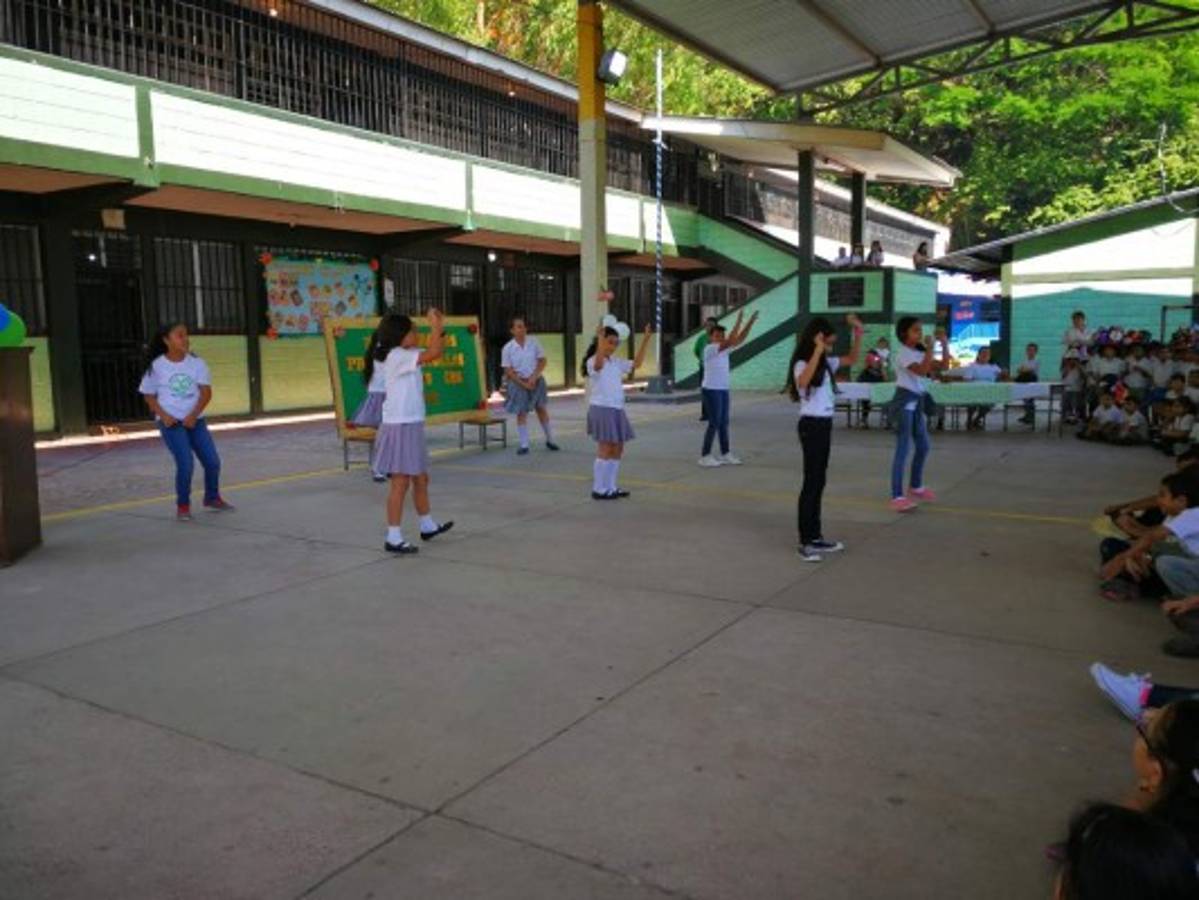 ¡Misión cumplida, líderes de la naturaleza!