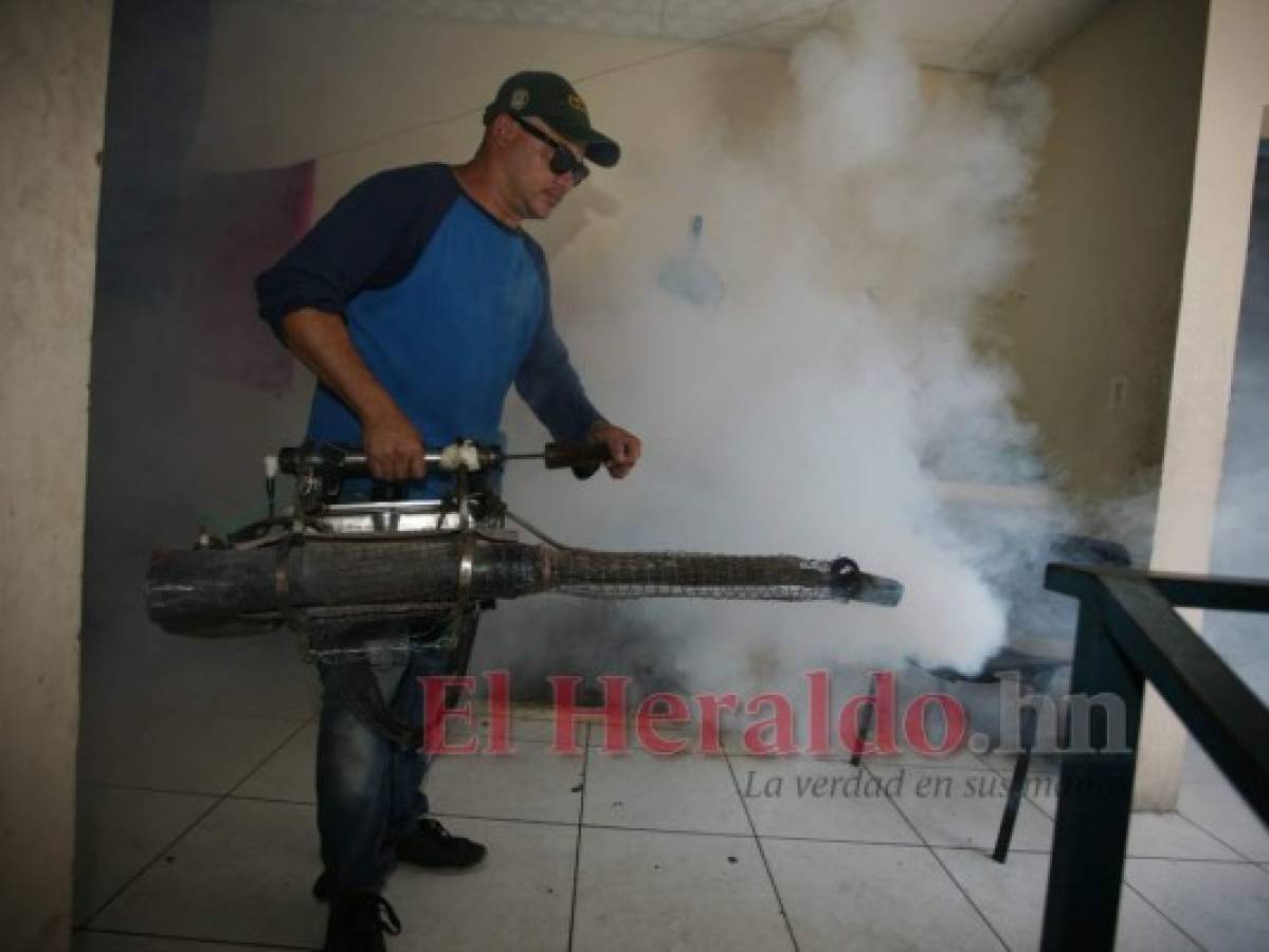 La fumigación debe realizarse en la madrugada y después de las 6:00 PM.