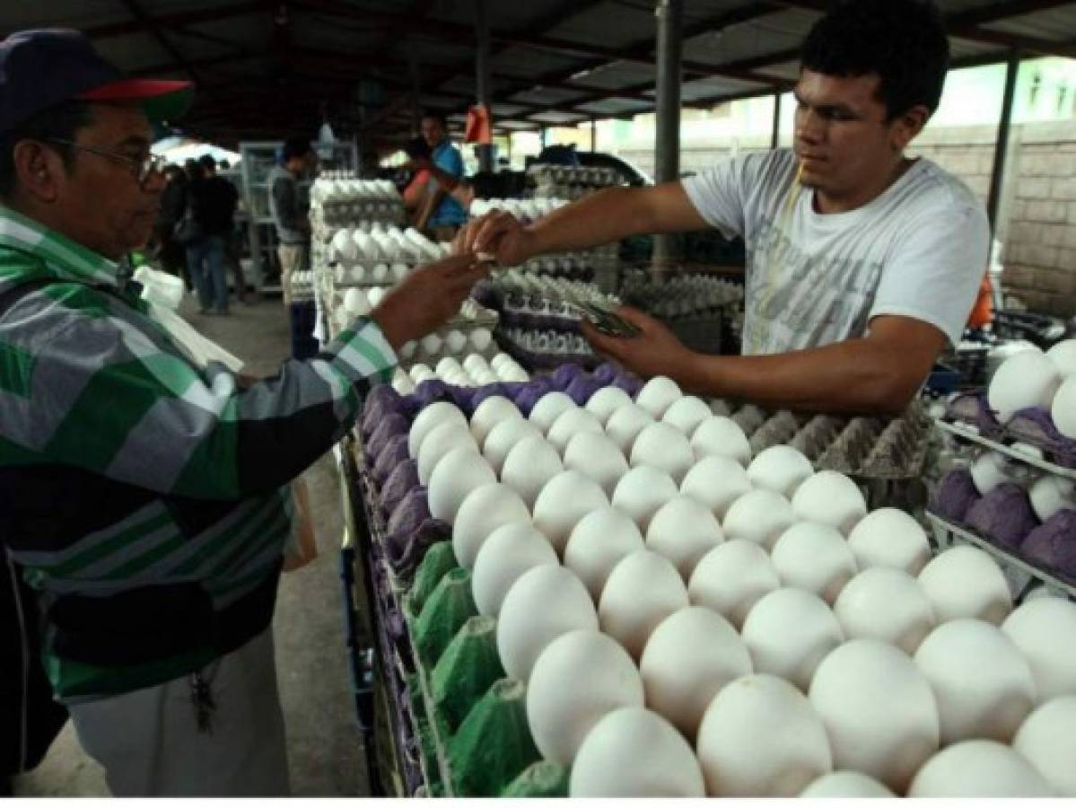 El cartón de huevos sube a 110 lempiras en la capital de Honduras