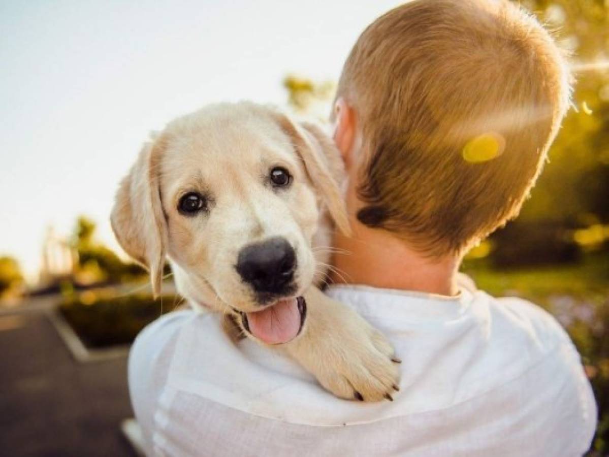 ¿Cuál es el idioma que hablan los perros?