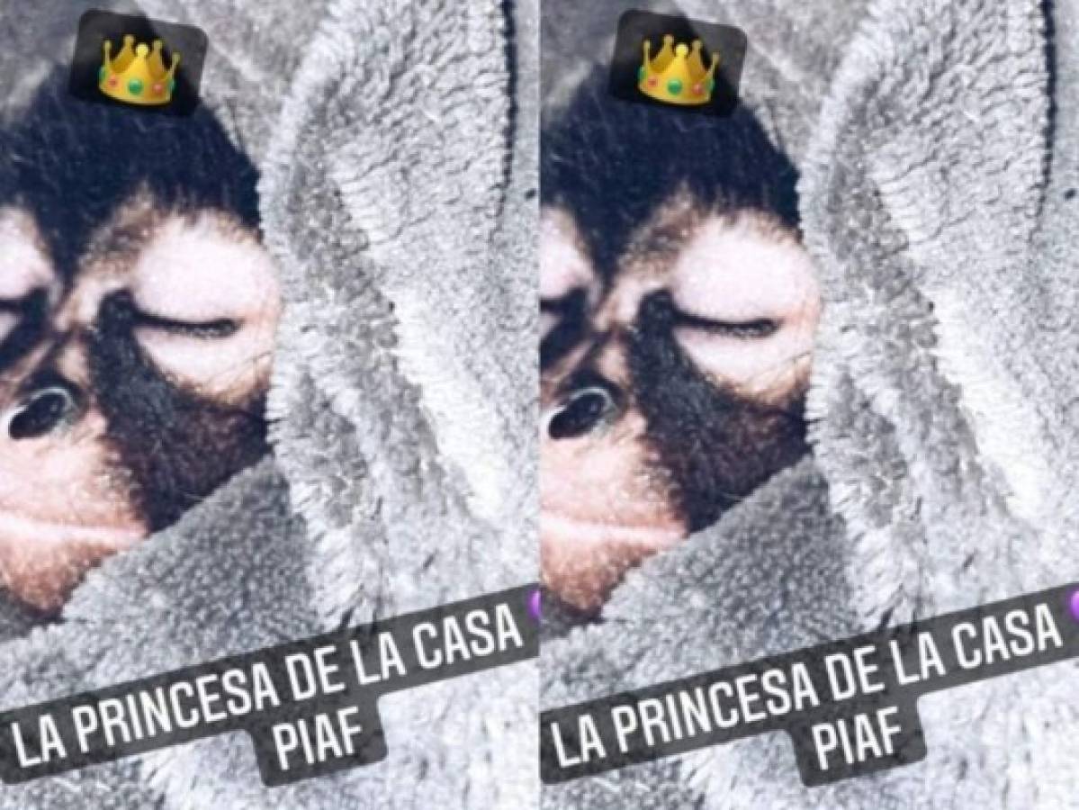 Piaf, la nueva mascota de Christian Nodal. Foto: Instagram nodal