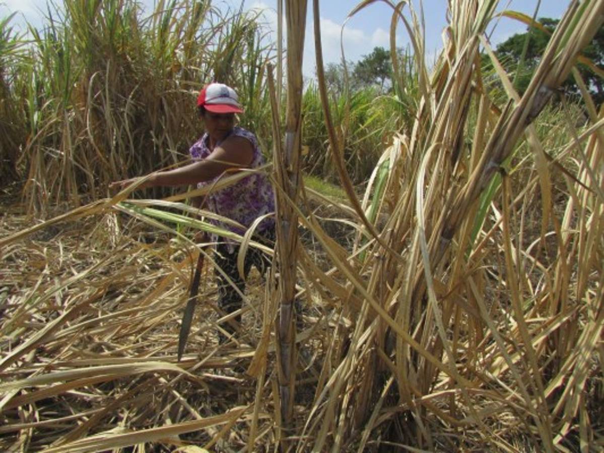 Súper mamás y heroínas de oriente