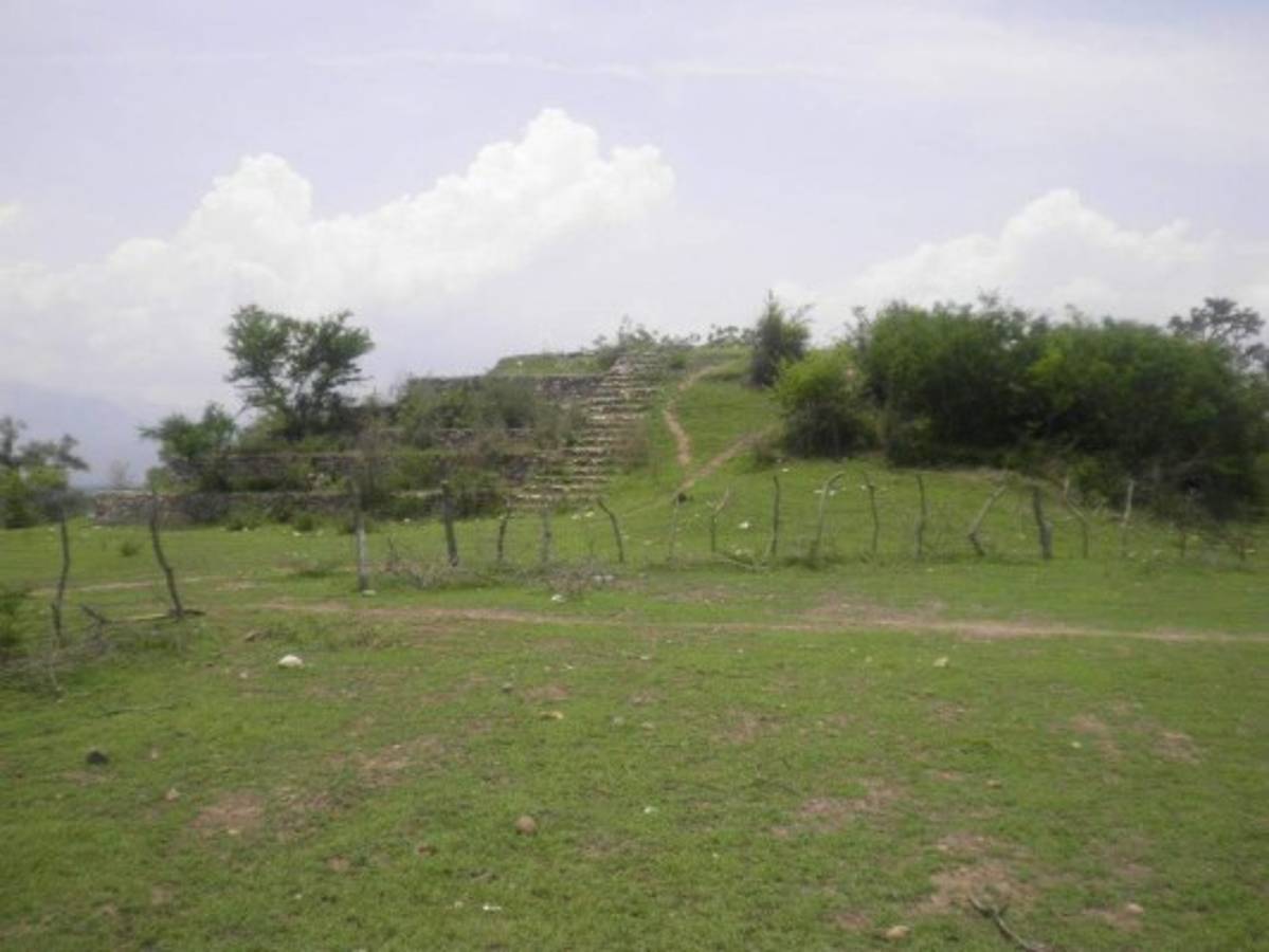 Yarumela, historia y sabor de Honduras