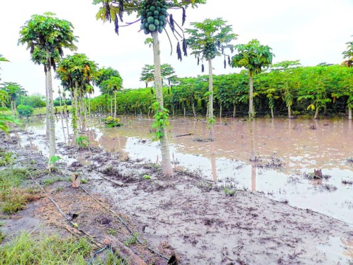 Dramáticos rescates y millonarias pérdidas dejan lluvias en Olancho
