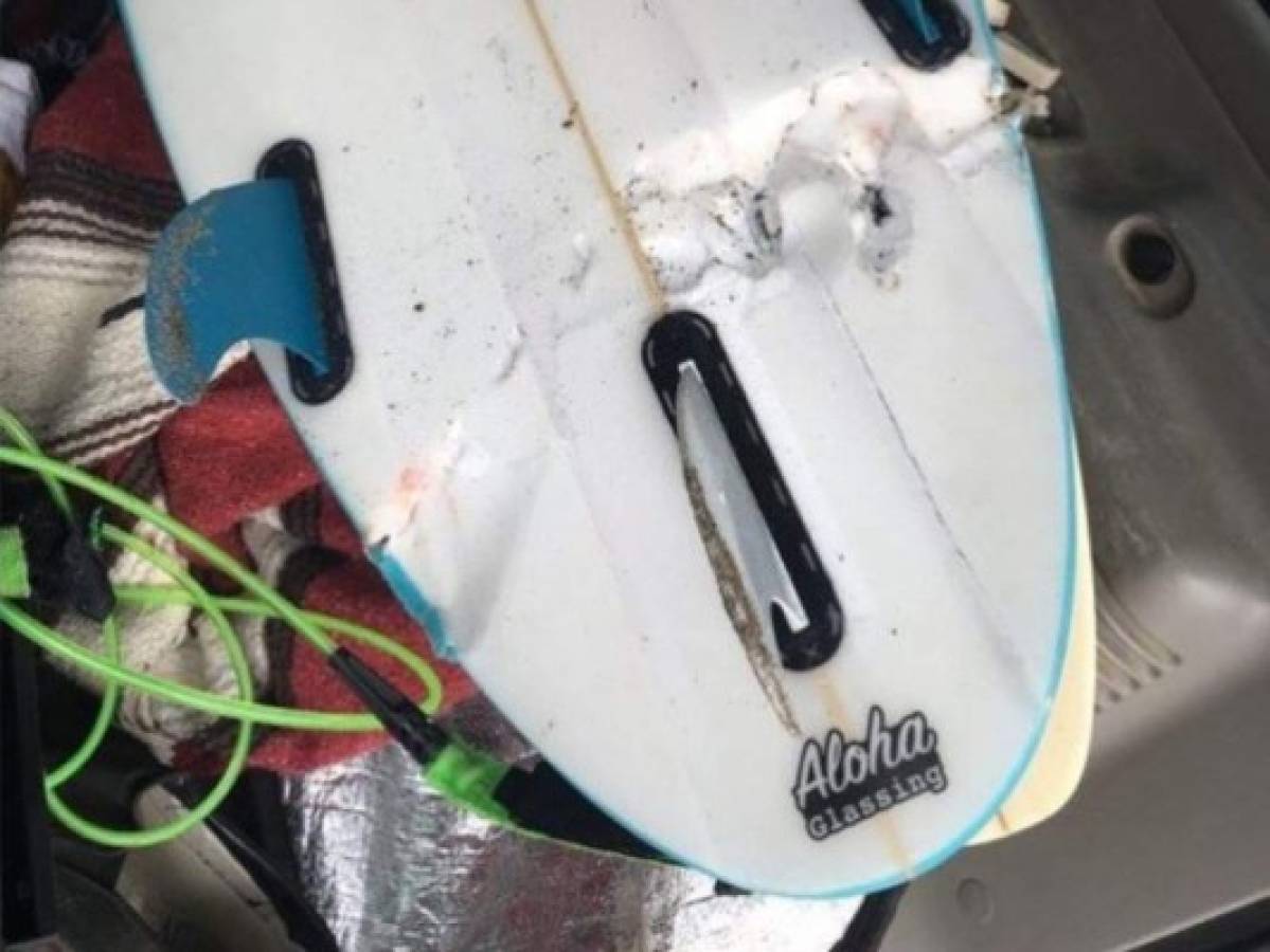 Surfista sobrevive ataque de tiburón en California