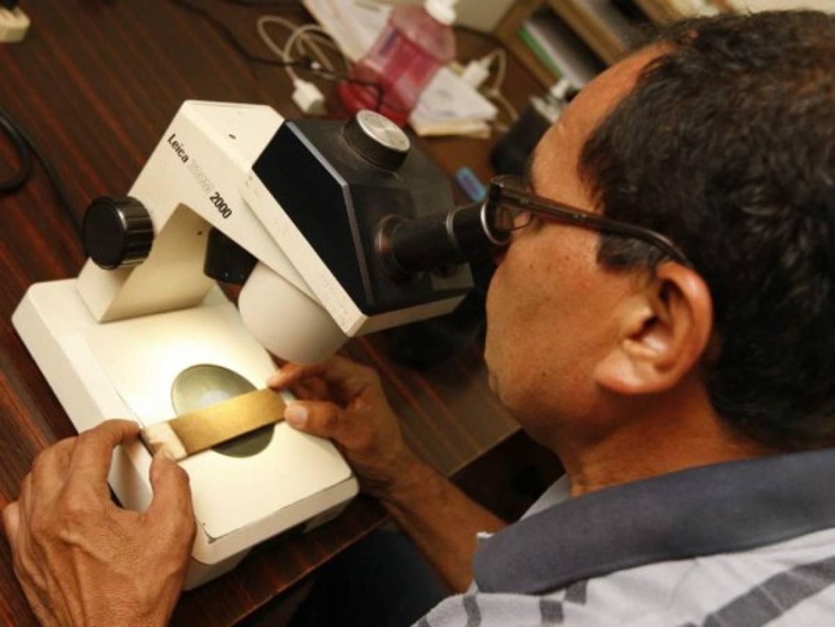 Ovitrampas revelan elevado índice del Aedes aegypti en la capital